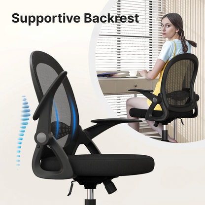 Ergonomic Office Chair